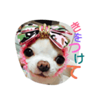 krhi2（個別スタンプ：8）