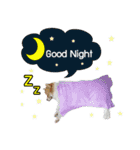 Mu Mini Bangkaew Dog（個別スタンプ：2）
