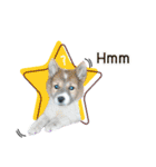 Mu Mini Bangkaew Dog（個別スタンプ：3）