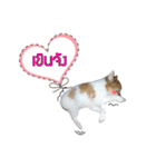 Mu Mini Bangkaew Dog（個別スタンプ：6）