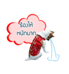 Mu Mini Bangkaew Dog（個別スタンプ：9）