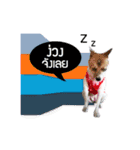 Mu Mini Bangkaew Dog（個別スタンプ：11）