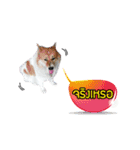 Mu Mini Bangkaew Dog（個別スタンプ：13）