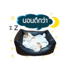 Mu Mini Bangkaew Dog（個別スタンプ：20）