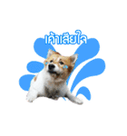 Mu Mini Bangkaew Dog（個別スタンプ：21）