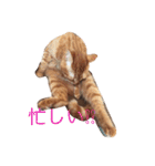 みーたろうの日常（個別スタンプ：10）