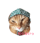 みーたろうの日常（個別スタンプ：13）