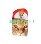 みーたろうの日常（個別スタンプ：18）
