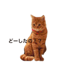 みーたろうの日常（個別スタンプ：22）