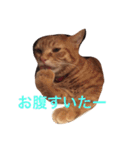 みーたろうの日常（個別スタンプ：27）