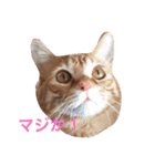 みーたろうの日常（個別スタンプ：28）
