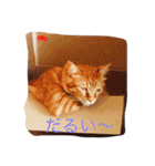 みーたろうの日常（個別スタンプ：32）