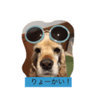 ニコラ怠け者1（個別スタンプ：6）