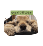ニコラ怠け者1（個別スタンプ：9）