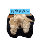 ニコラ怠け者1（個別スタンプ：10）