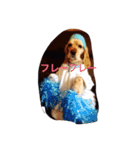 ニコラ怠け者1（個別スタンプ：11）