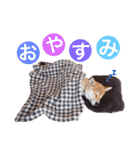 太郎先生スタンプ（個別スタンプ：18）