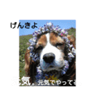 上田姉妹です♥（個別スタンプ：31）