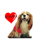 上田姉妹です♥（個別スタンプ：32）