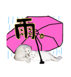 haru.winter.hiko（個別スタンプ：20）