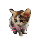 まんちひめ（個別スタンプ：1）
