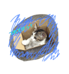まんちひめ（個別スタンプ：5）