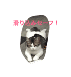 まんちひめ（個別スタンプ：7）