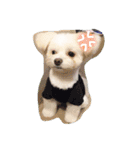 コッパーすたんぷ 3（個別スタンプ：5）