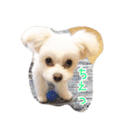 コッパーすたんぷ 3（個別スタンプ：7）