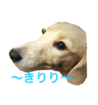 ミアと愉快な仲間たち（個別スタンプ：4）
