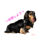 ミアと愉快な仲間たち（個別スタンプ：7）