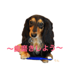 ミアと愉快な仲間たち（個別スタンプ：9）