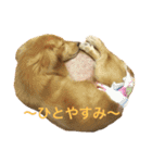 ミアと愉快な仲間たち（個別スタンプ：13）
