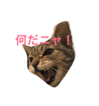エモンちゃん（個別スタンプ：1）
