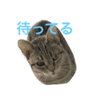 エモンちゃん（個別スタンプ：3）