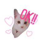 ゆきちゃんと春くん（個別スタンプ：2）