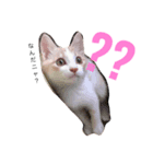 ゆきちゃんと春くん（個別スタンプ：4）
