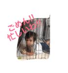 蓮＆翔颯（個別スタンプ：1）