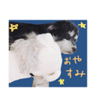 かみつき村のくまごろう（個別スタンプ：19）