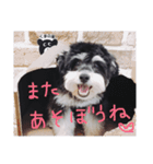 かみつき村のくまごろう（個別スタンプ：32）