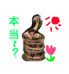 彩3姉妹のスタンプ（個別スタンプ：17）