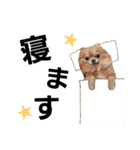もふもふの日常(ミルキー)（個別スタンプ：3）