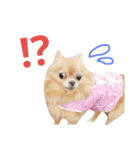 もふもふの日常(ミルキー)（個別スタンプ：20）