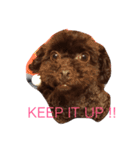 for Amo（個別スタンプ：1）
