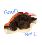 for Amo（個別スタンプ：3）