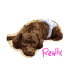 for Amo（個別スタンプ：4）