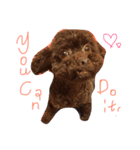 for Amo（個別スタンプ：6）