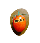 tomato to tomato（個別スタンプ：1）