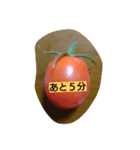 tomato to tomato（個別スタンプ：2）