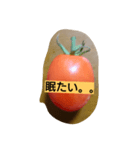 tomato to tomato（個別スタンプ：3）